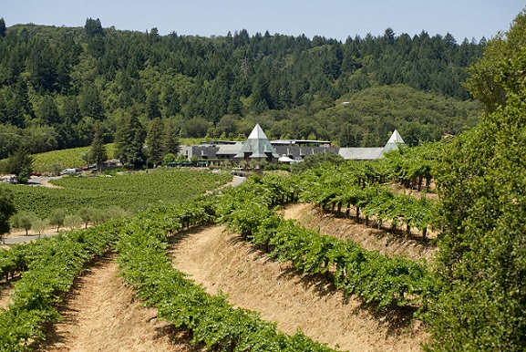 Coppola winery